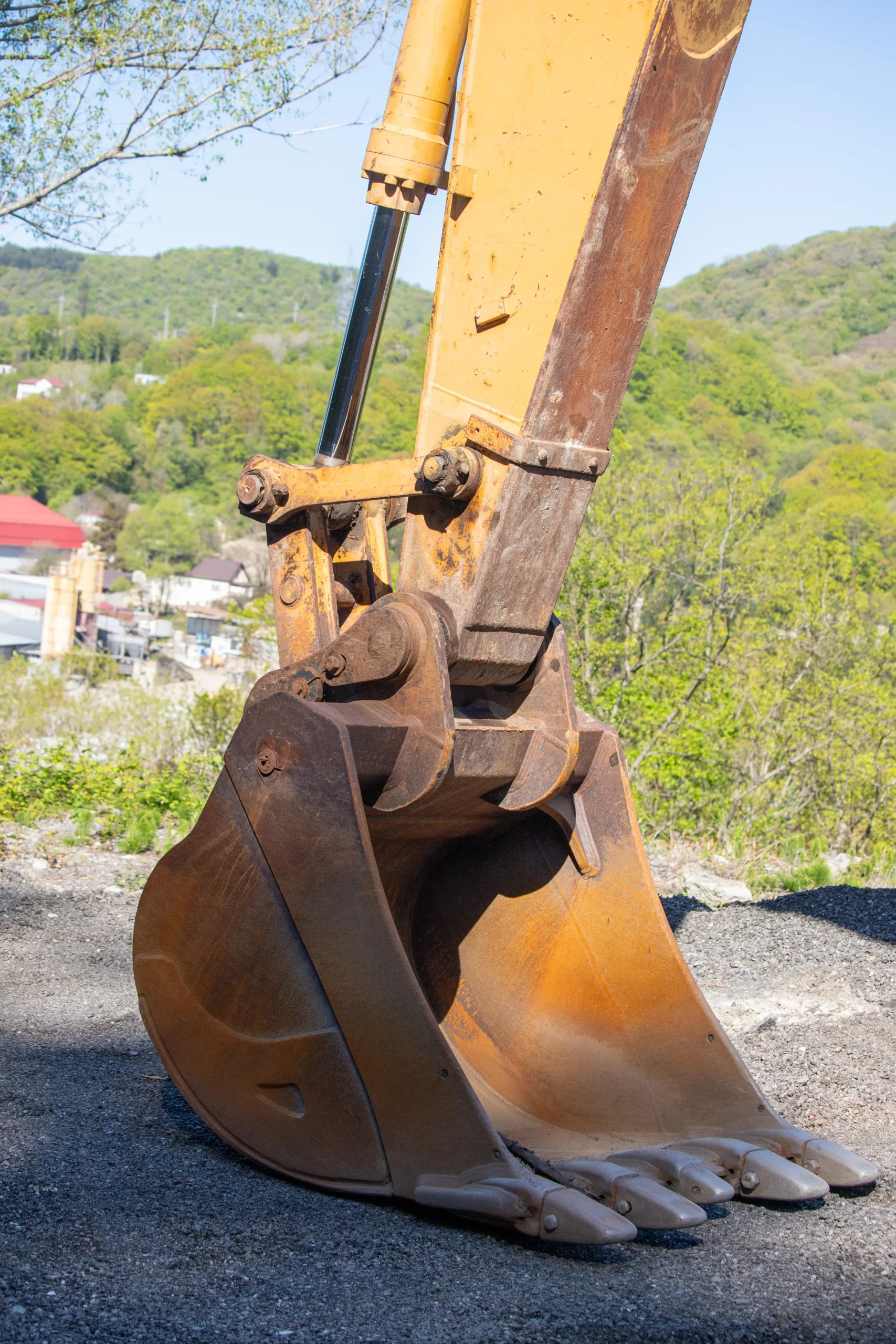 AdobeStock_1519060198